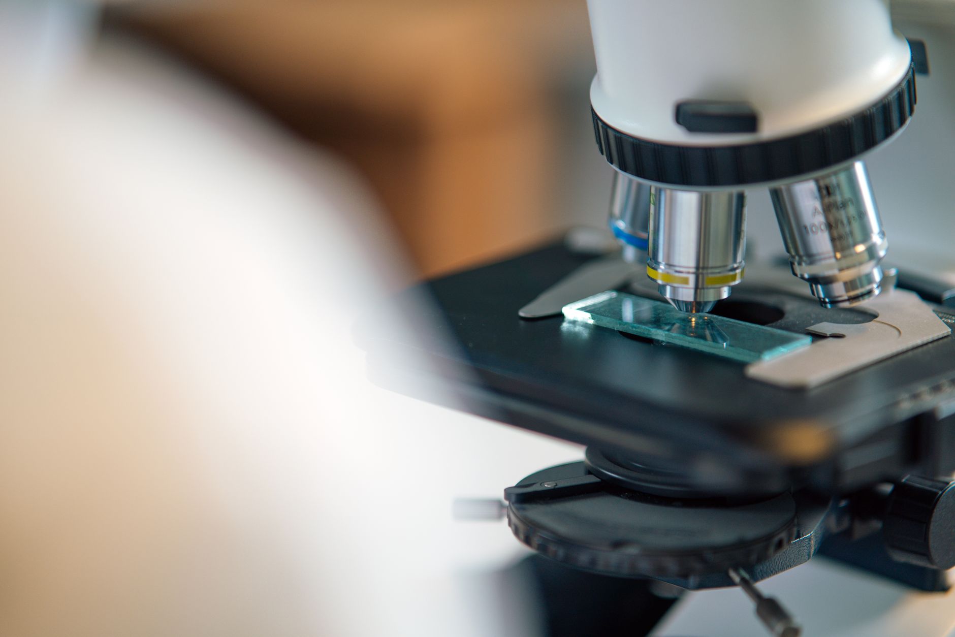 Detailed view of microscope slide setup, essential for biological research.